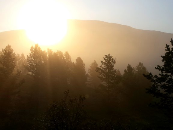 Bilder aus Norwegen 