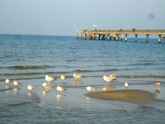 Ostsee 